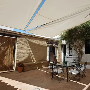 Lince El Rocío